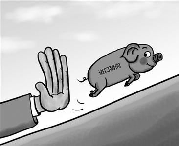 我國不會大規(guī)模進(jìn)口豬肉 自給率接近99%