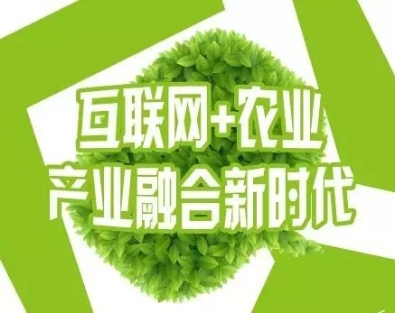 互聯(lián)網(wǎng)農業(yè)2