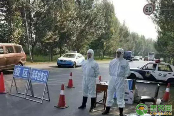 “非洲豬瘟”出現(xiàn)那么市場(chǎng)上的豬肉還能吃嗎？（附豬瘟防治措施）