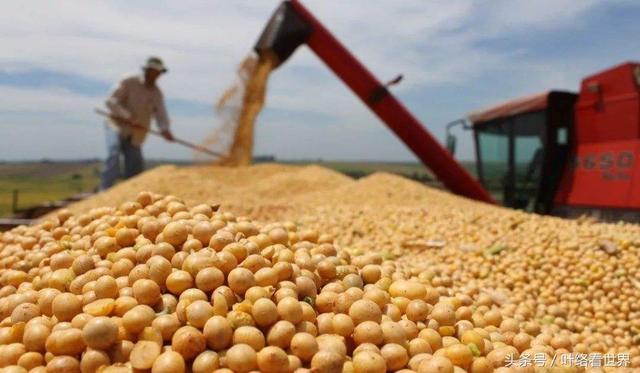 美國(guó)大豆出口大會(huì)閉幕，中國(guó)買家一顆沒(méi)買